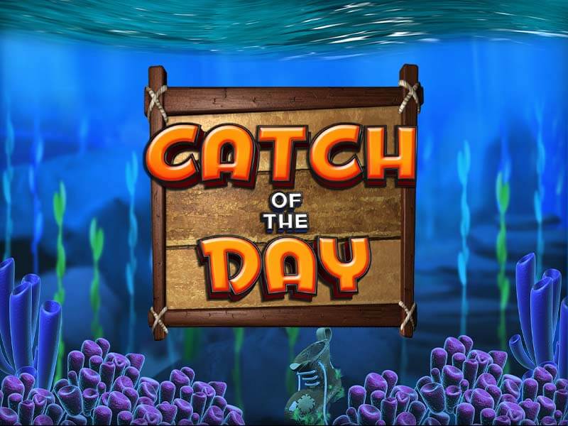 cassino online Catch of the Day